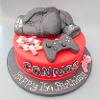 Boxing gloves cake. Price band D